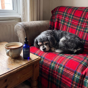 Fiona M.'s dog