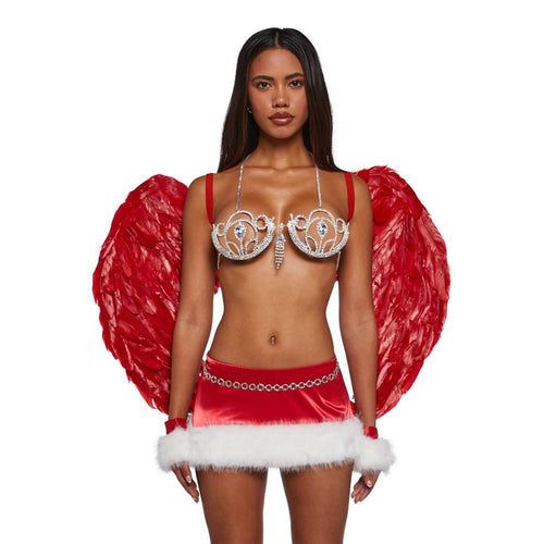 Runway Angel Costume