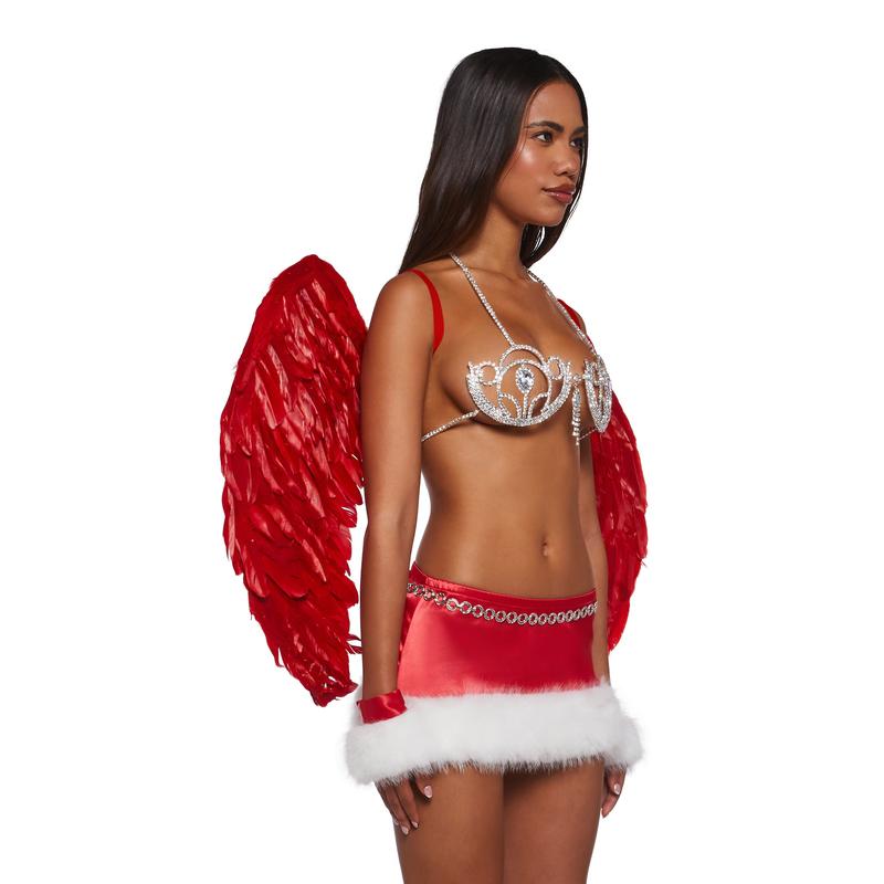 Runway Angel Costume