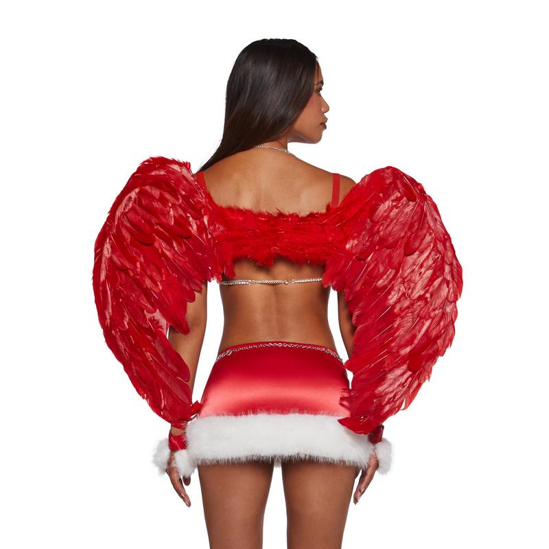 Runway Angel Costume