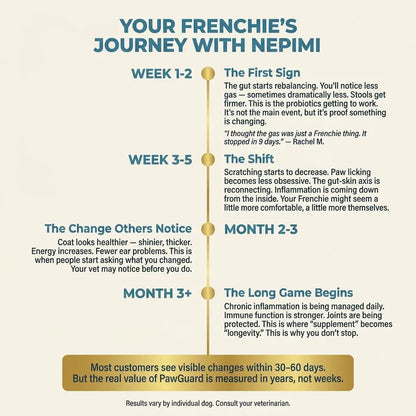 French Bulldog Longevity Chews