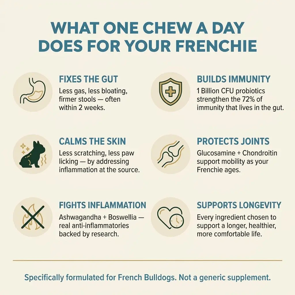 French Bulldog Longevity Chews