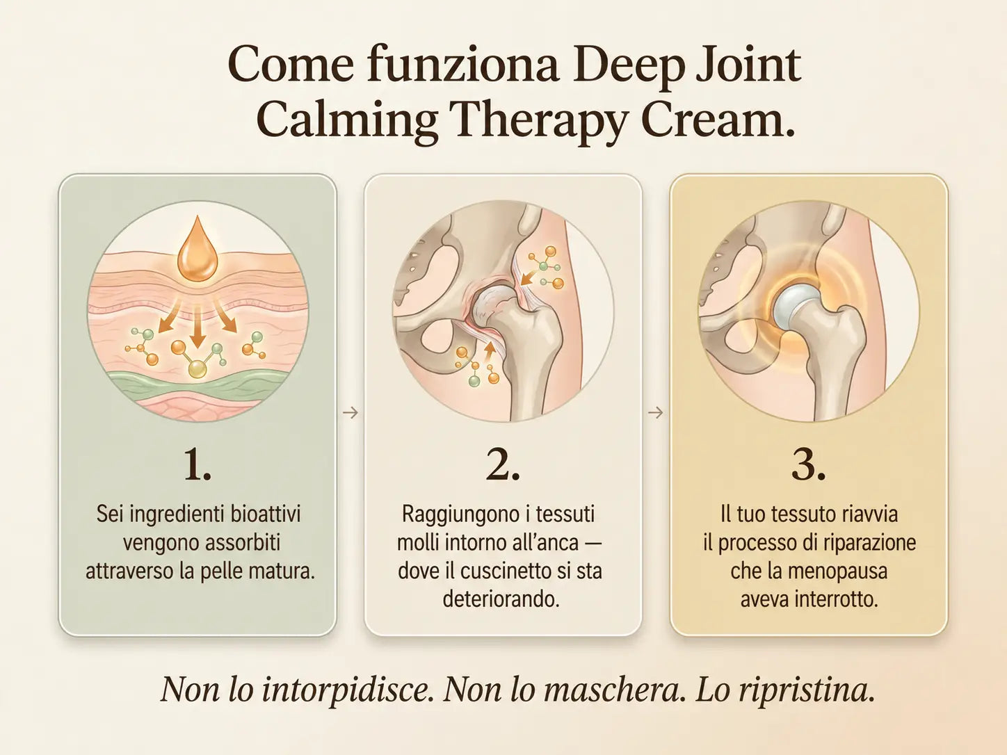 Nepimi™ | Crema Lenitiva per il Benessere Profondo delle Articolazioni (Italy)
