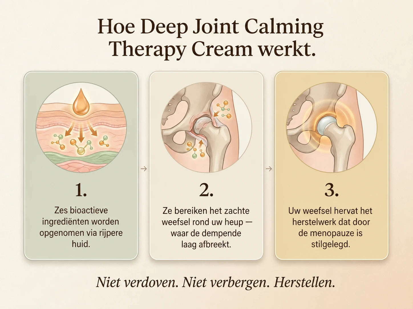 Nepimi | Diepwerkende gewrichtskalmerende therapiecrème (Netherlands)