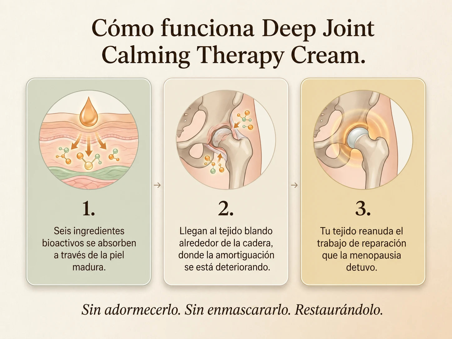 Nepimi | Crema de Terapia Calmante Profunda para las Articulaciones 1X (Spanish)