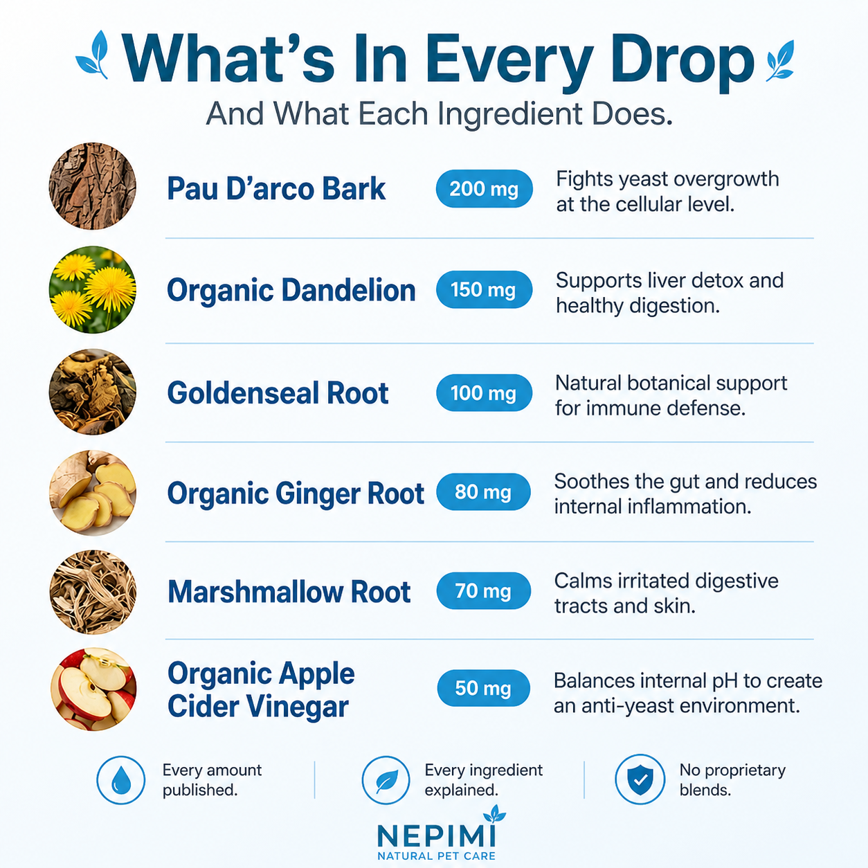 Nepimi Yeast Reset + Itch Relief Drops