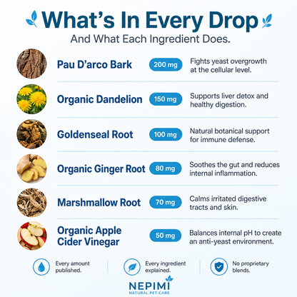 Nepimi Yeast Reset + Itch Relief Drops