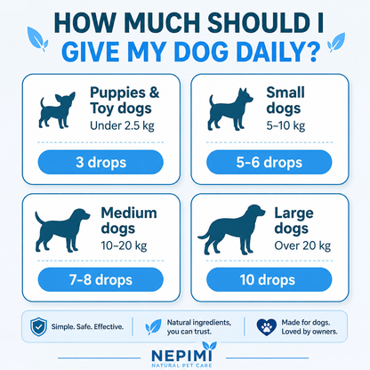 Nepimi Yeast Reset + Itch Relief Drops