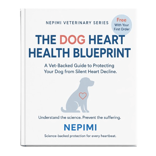 Heart Health Blueprint