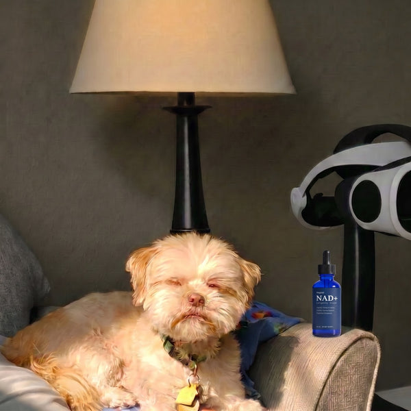 Michelle L.'s dog