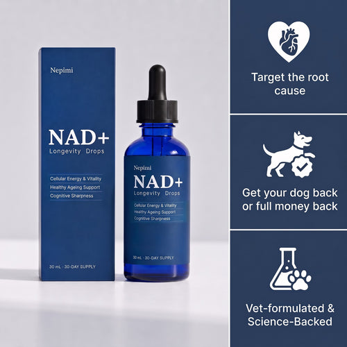 Nepimi Vital Nad Formula