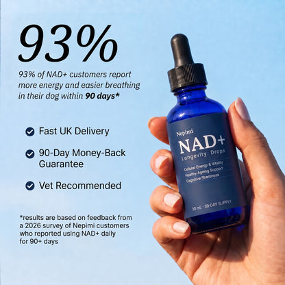 Nepimi Vital Nad Formula