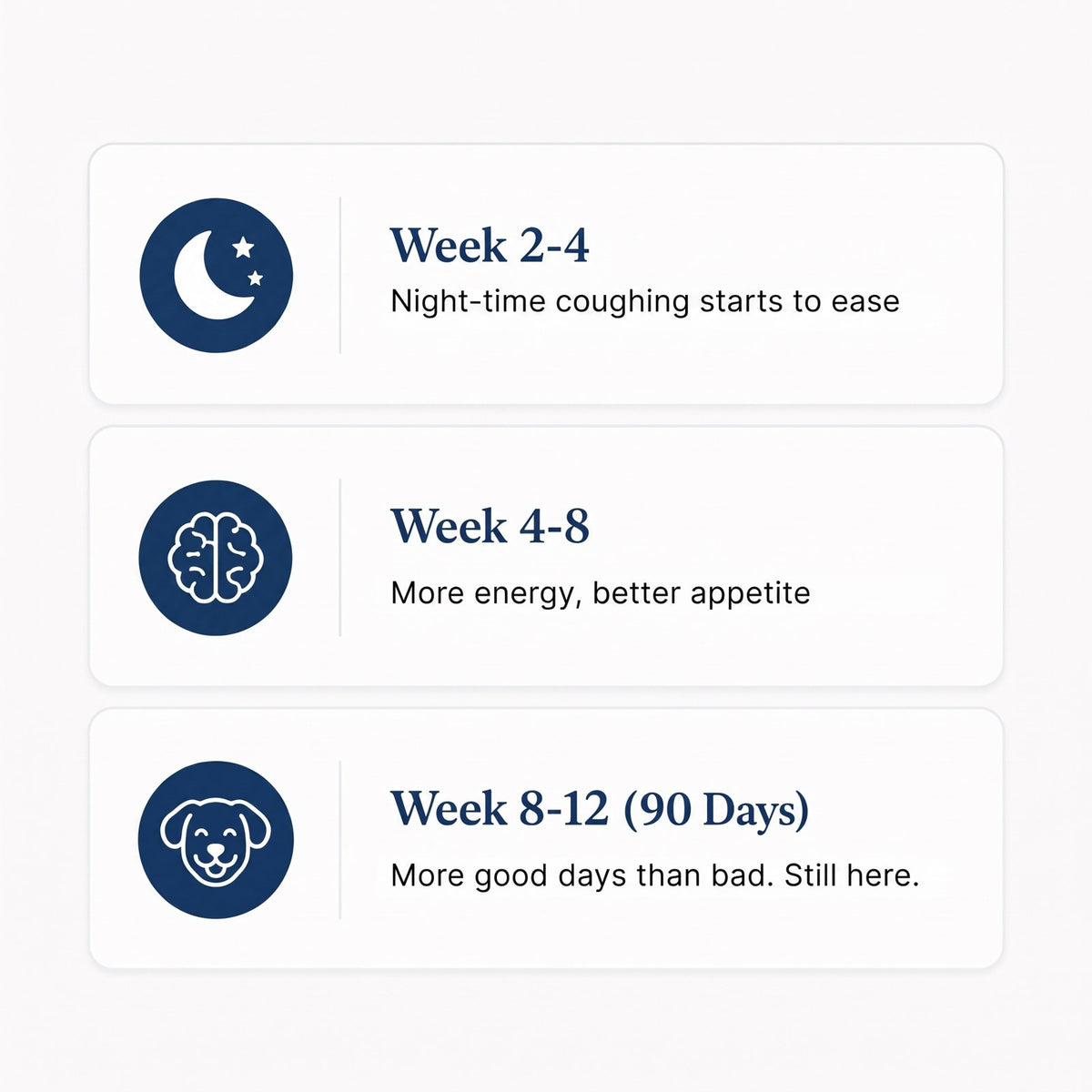 Nepimi Vital Nad Formula