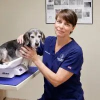 Dr. Evangeline L.