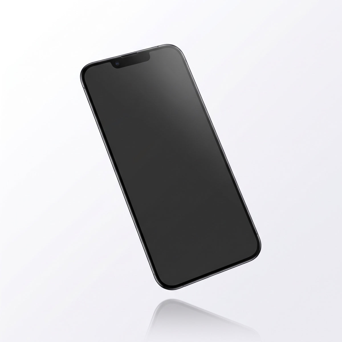 Privacy screen protector